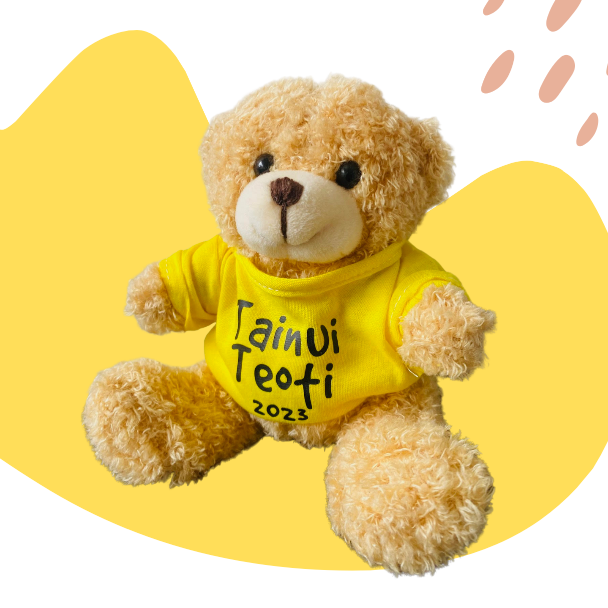 Personalised Teddy Bear