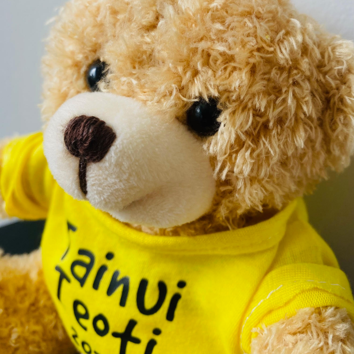 Personalised Teddy Bear